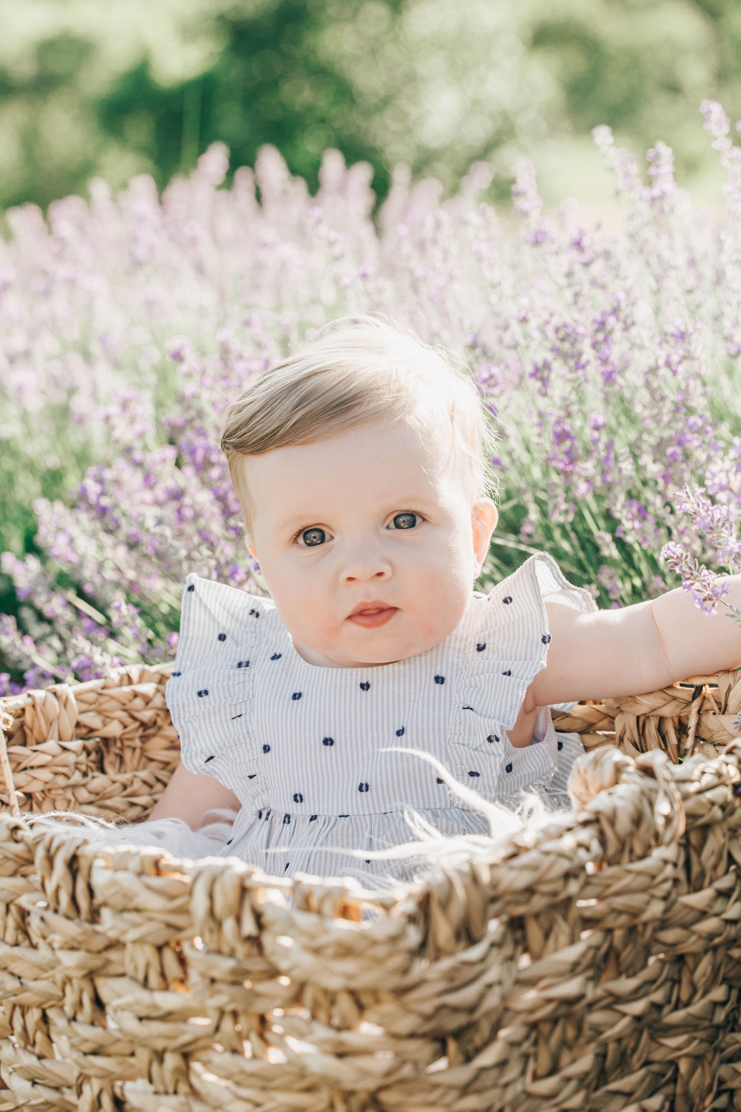 Lavender Field Family  Photography | London, Ontario :: NovaMarkina