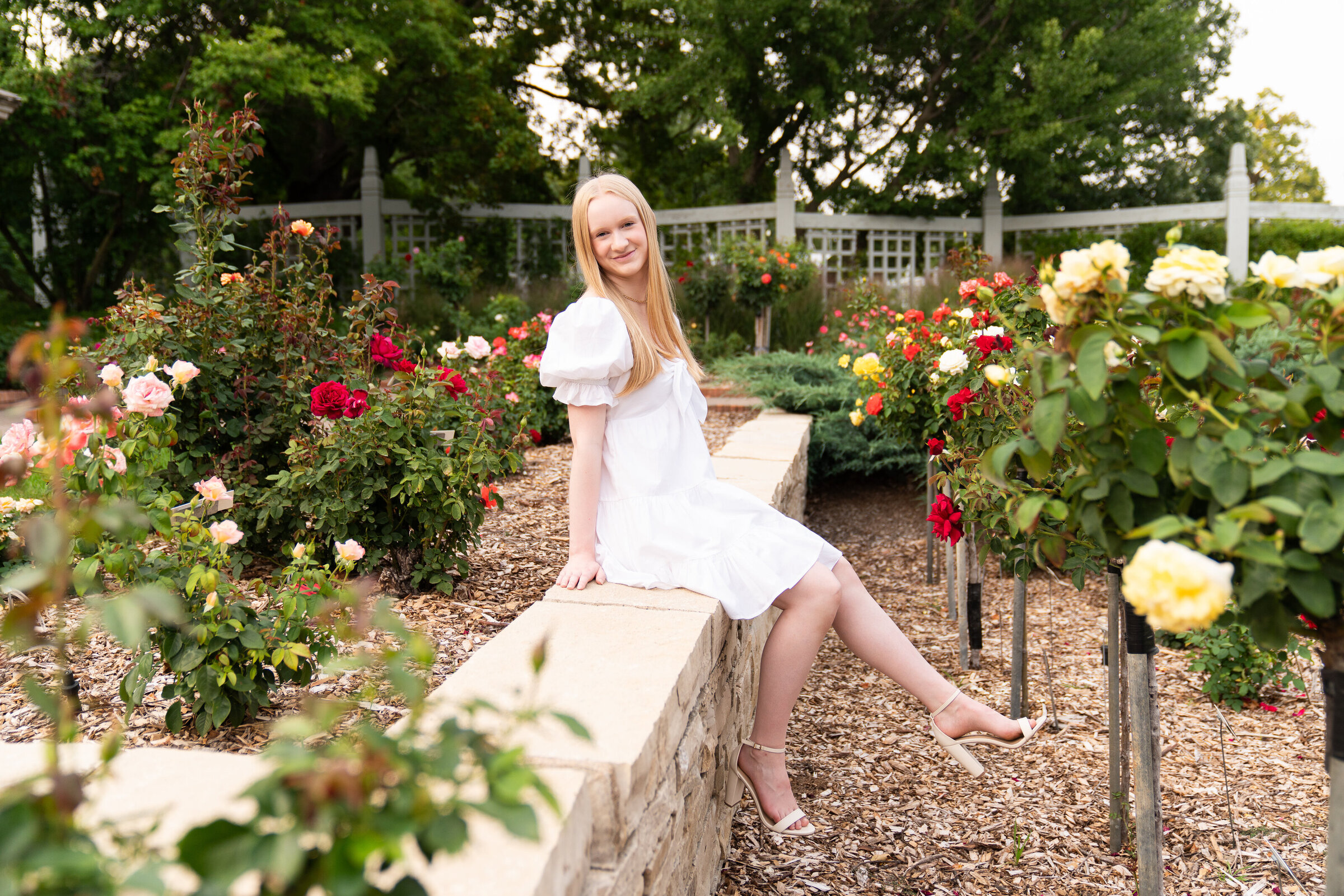 Girl sits on a ledge in a rose garden at the Minnesota Landscape Arboretum in Chaska, Minnesota