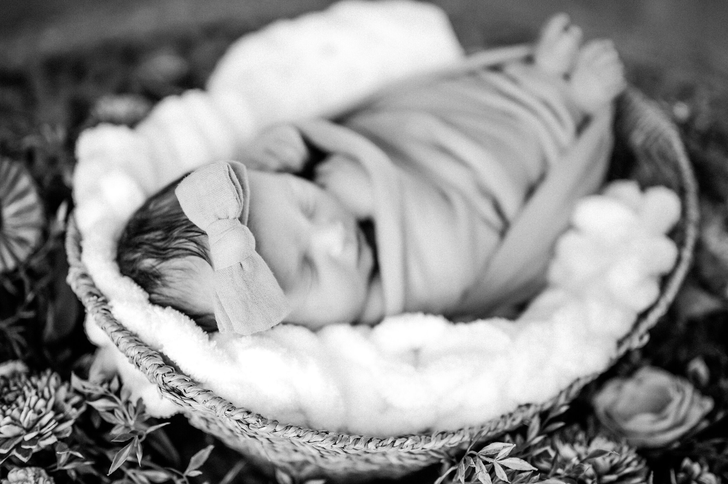 Black and white image of bow on baby's head while baby lays in basket surrounded by leaves