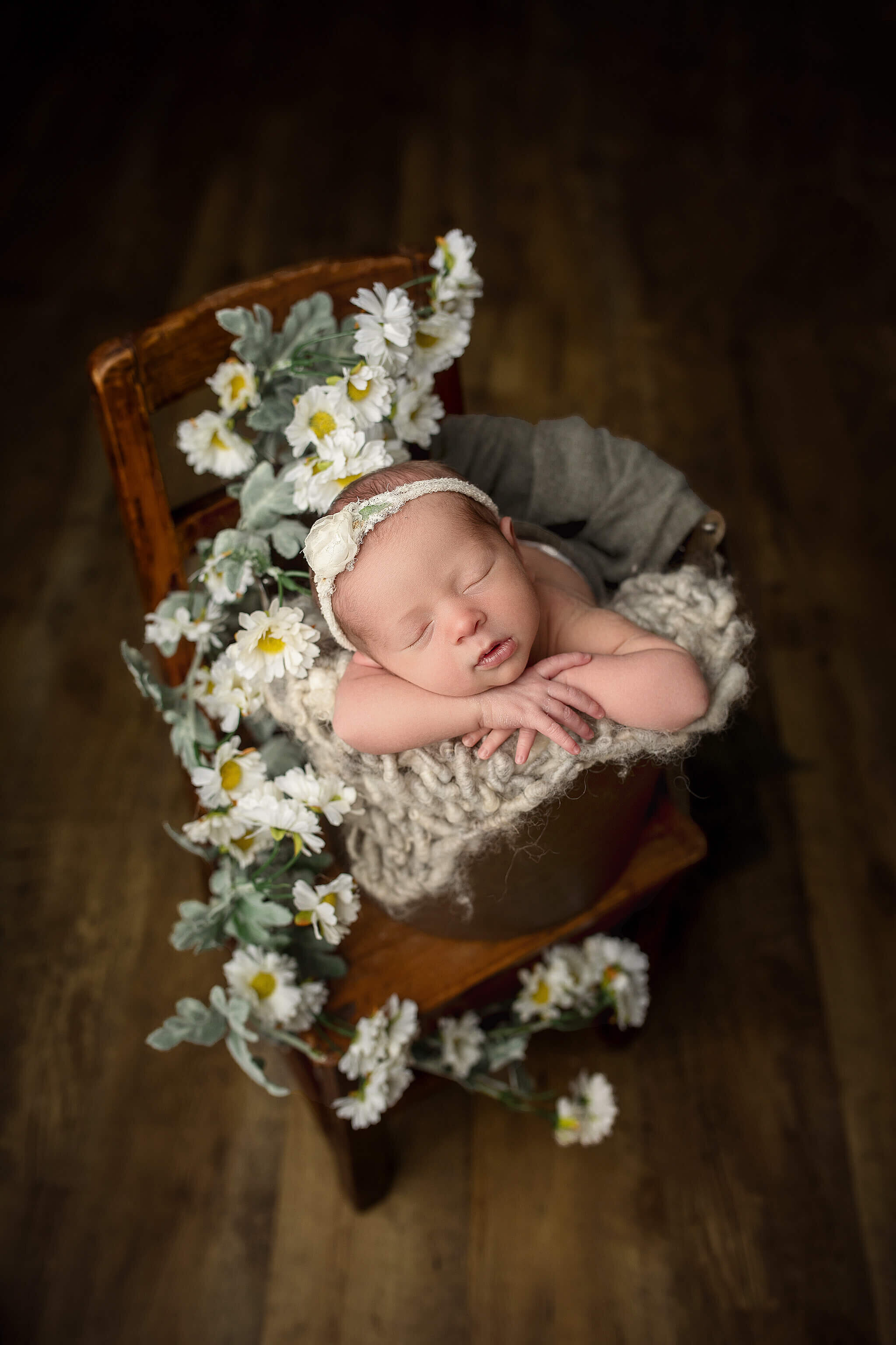 newborn baby girl in bucket, which is sitting on a chair with daisies all around her