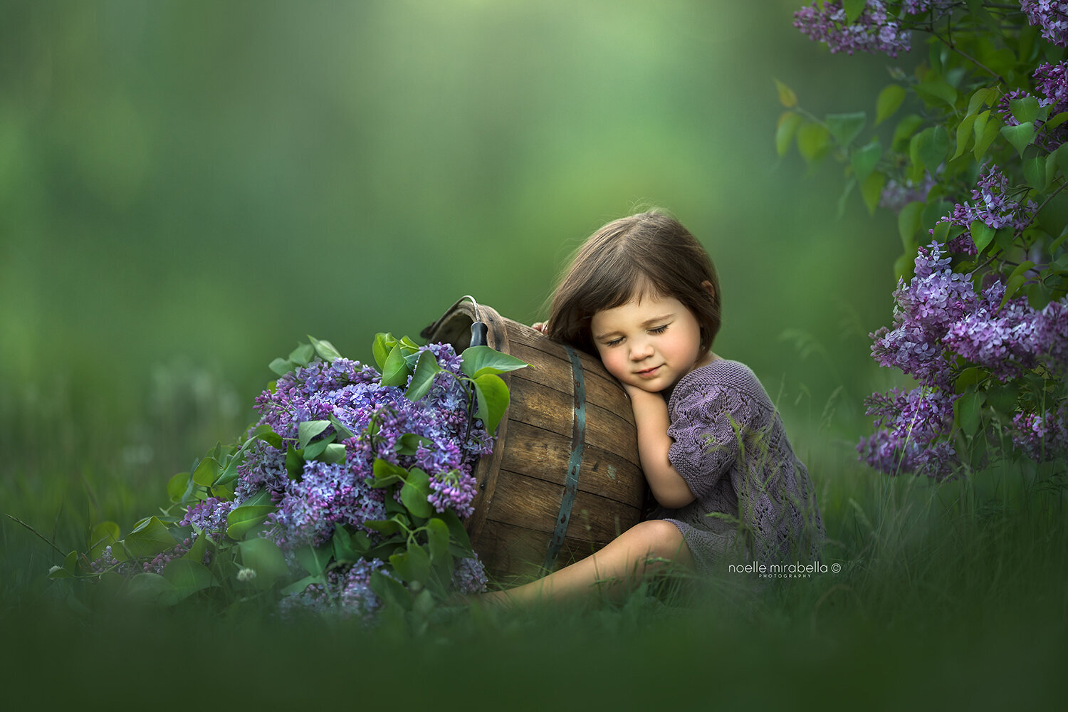 Little girl with bucket of lilacs, sitting next to a lilac bush.