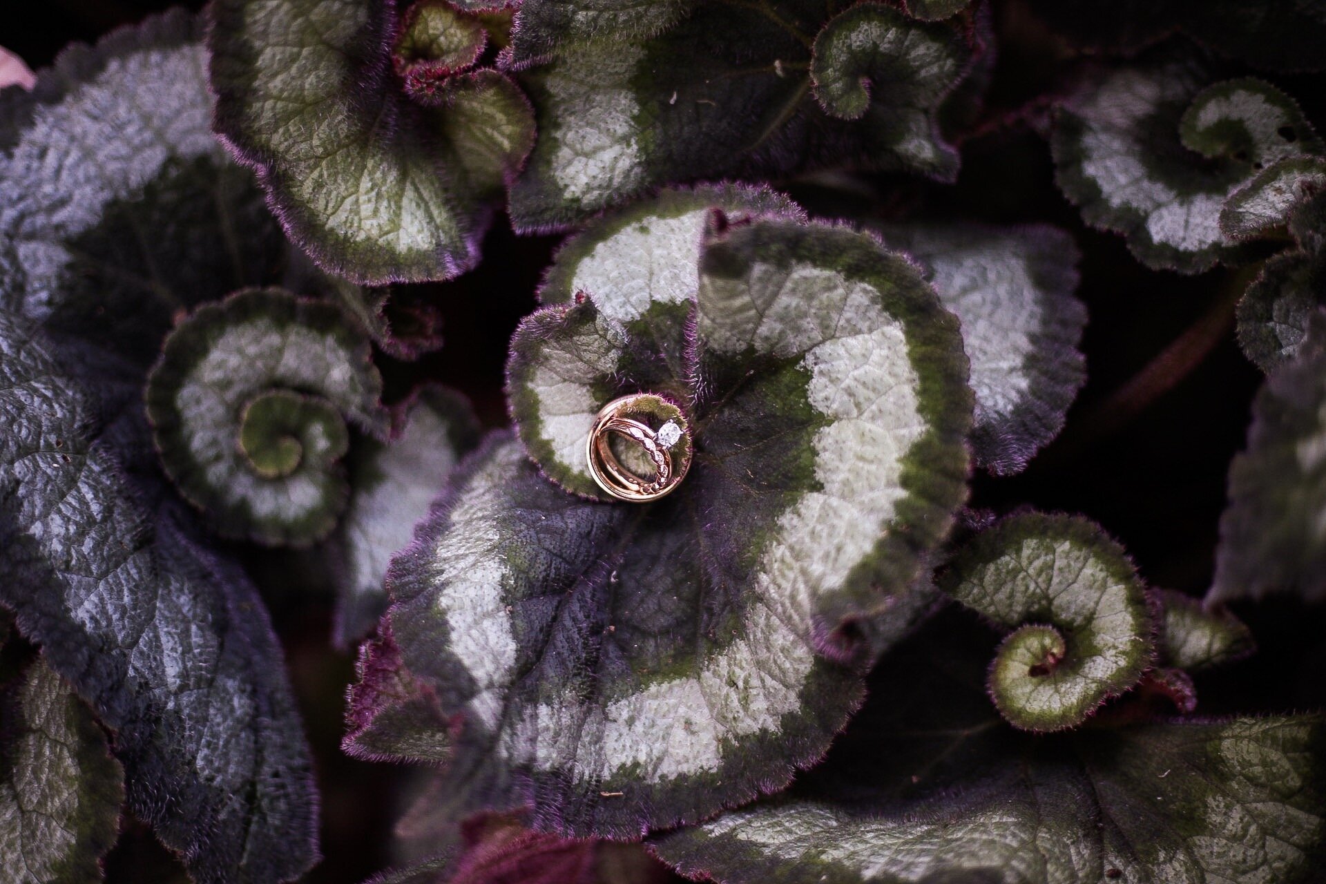 amative creative engagement photo