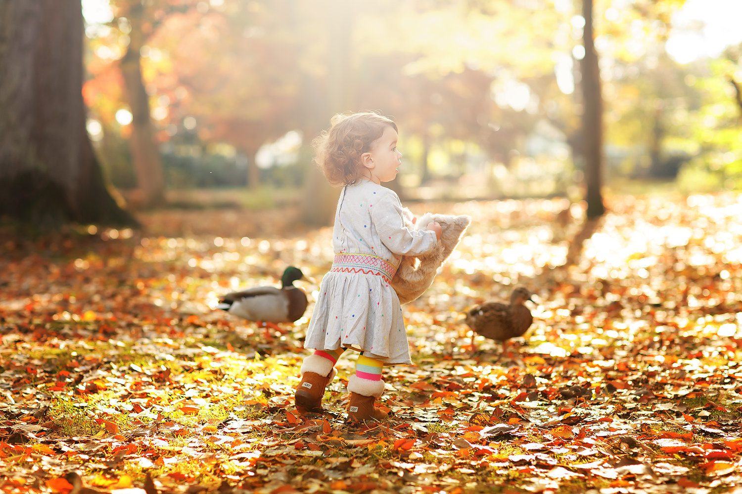 little girl in woods with ducks