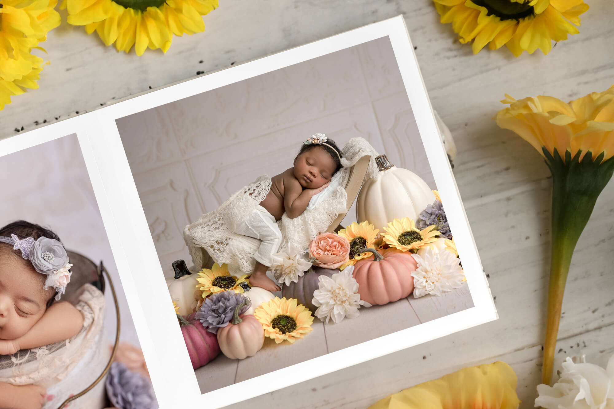 PHOTO ALBUM C16 newborn yellow flowers
