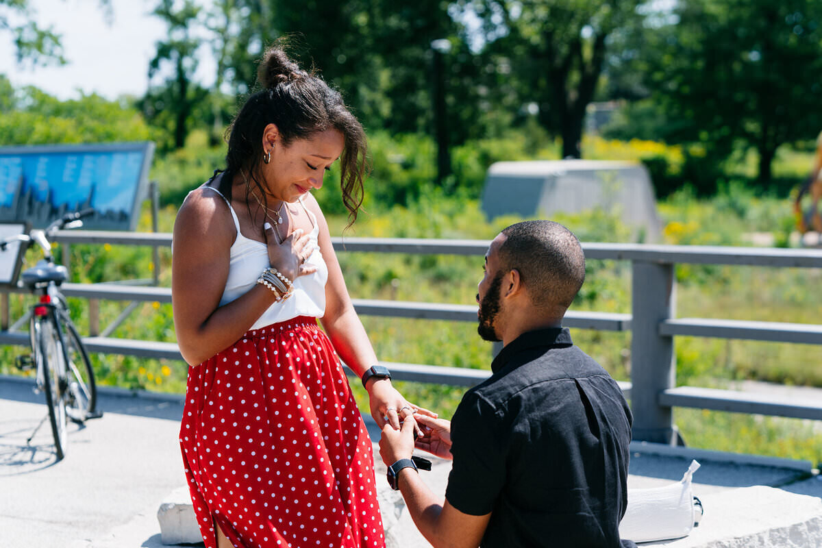 Proposal at the Bridge Over South Pond in Chicago