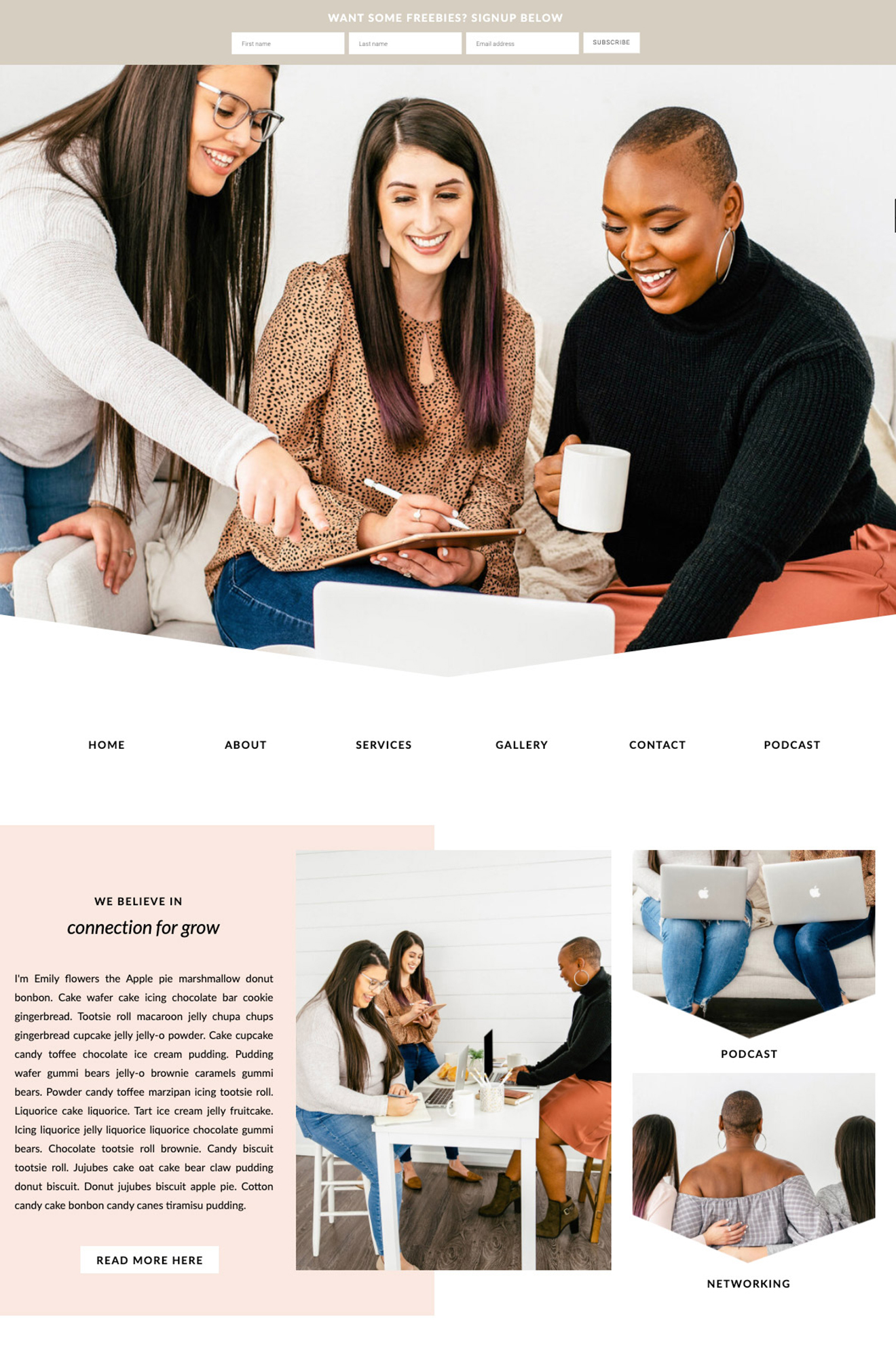 Showit Website Template