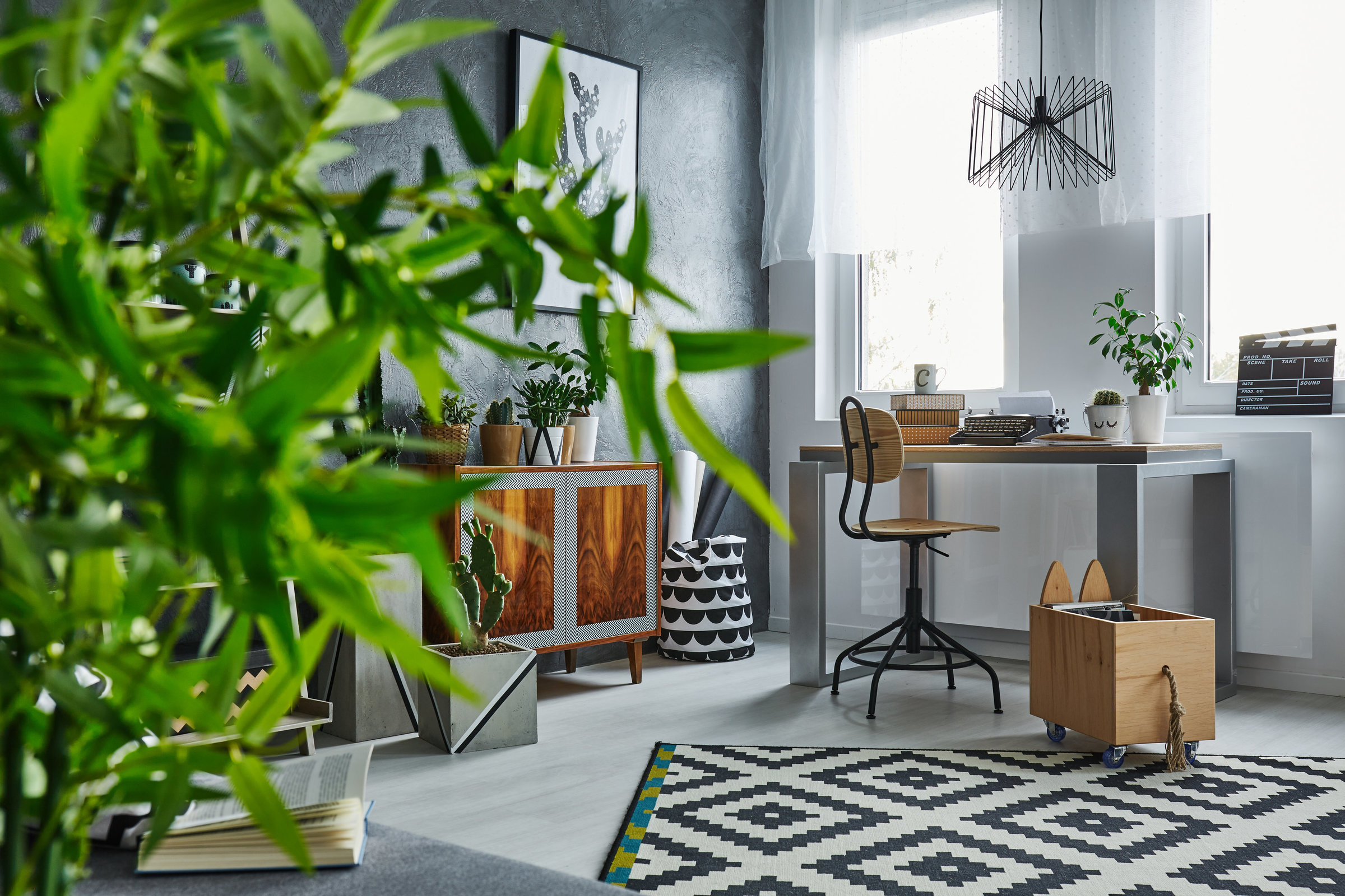 studio-flat-with-plants-PYQSS2E