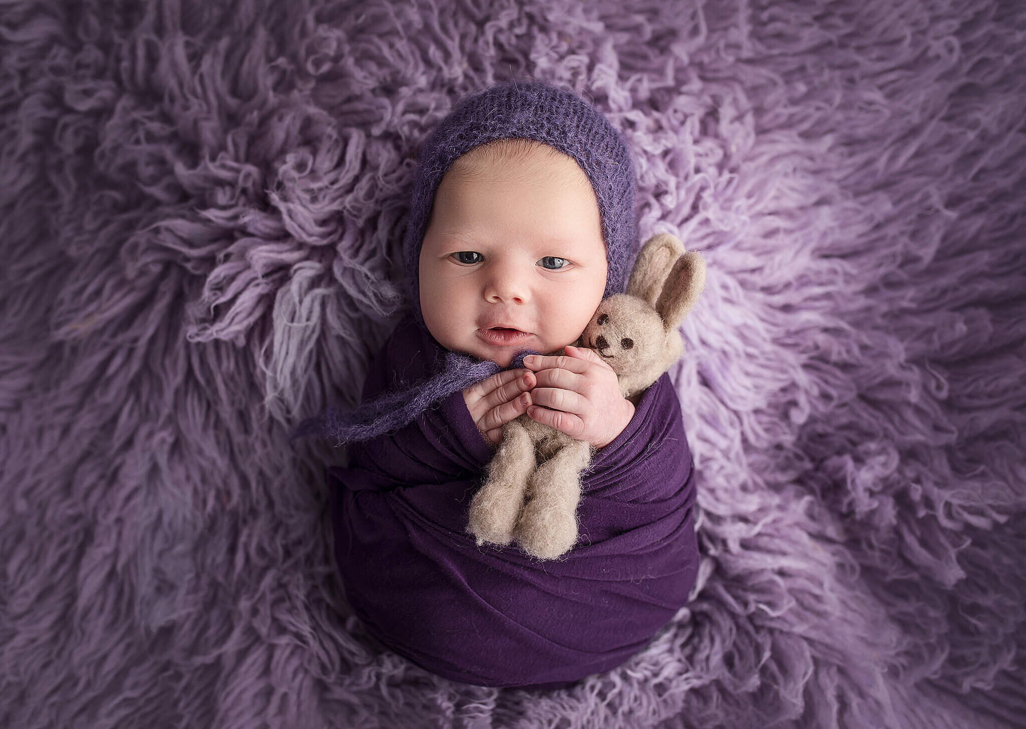 newborn girl wrapped in purple, with a purple hat and laying on a puprle flokoti rug while snuggling with a little bunny lovey