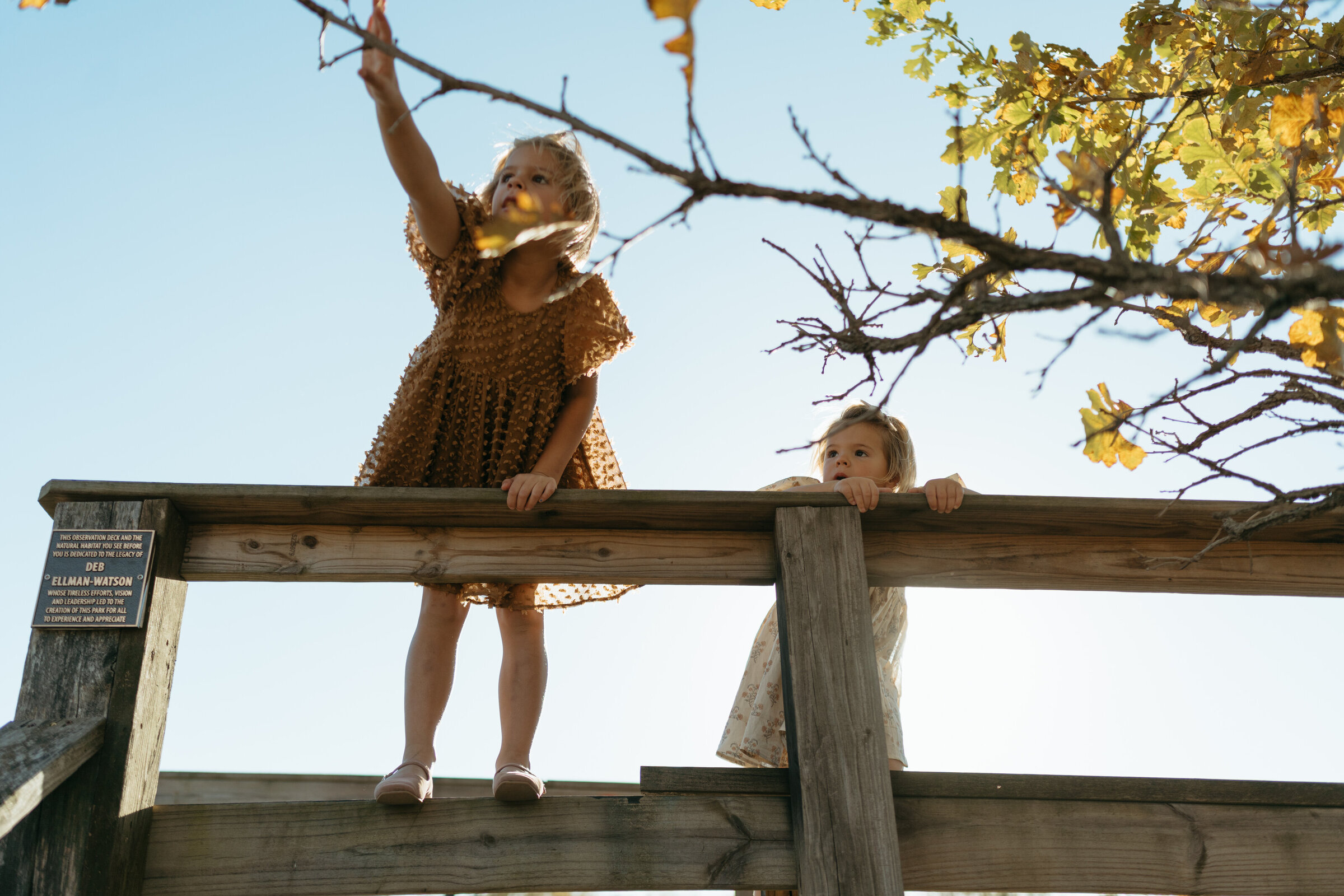 Two young sisters wearing fancy dresses reach from a deck for a tree branch at Daubenspeck nature Park