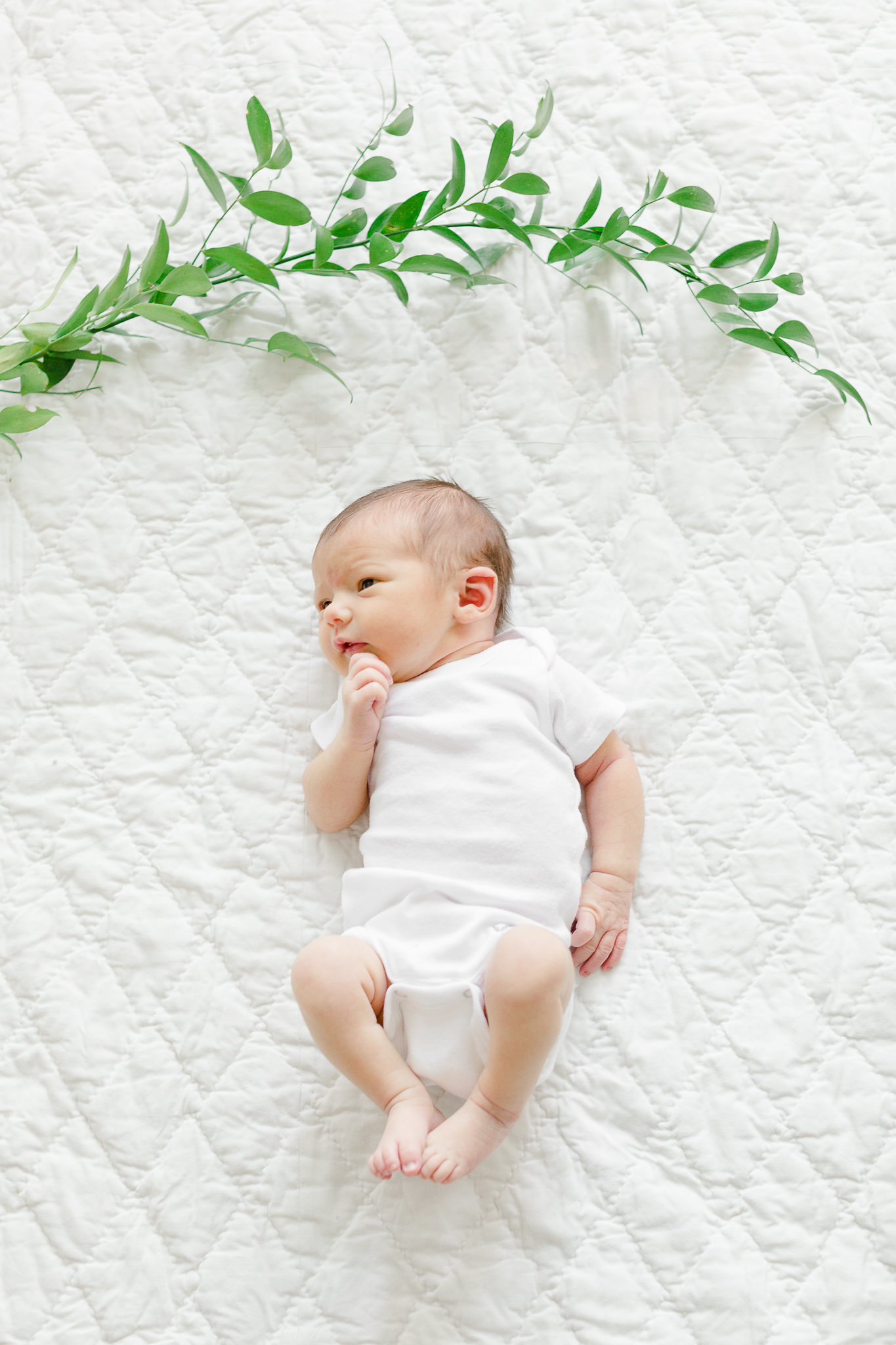 photographe-nouveau-ne-montreal-lisa-renault-photographie-newborn-photographer-1