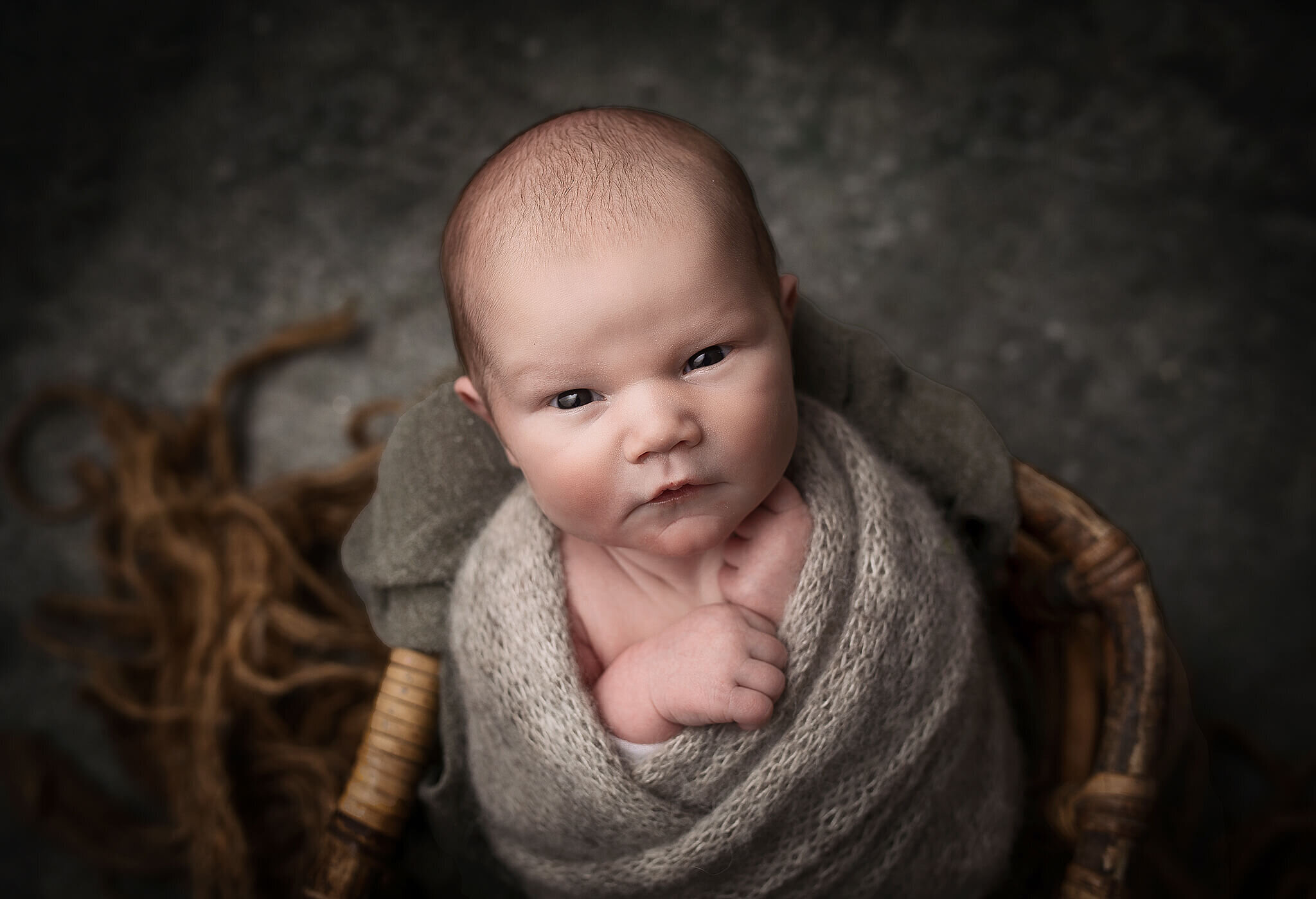 newborn boy in little basket, looking at camera, columbus ohio photo session