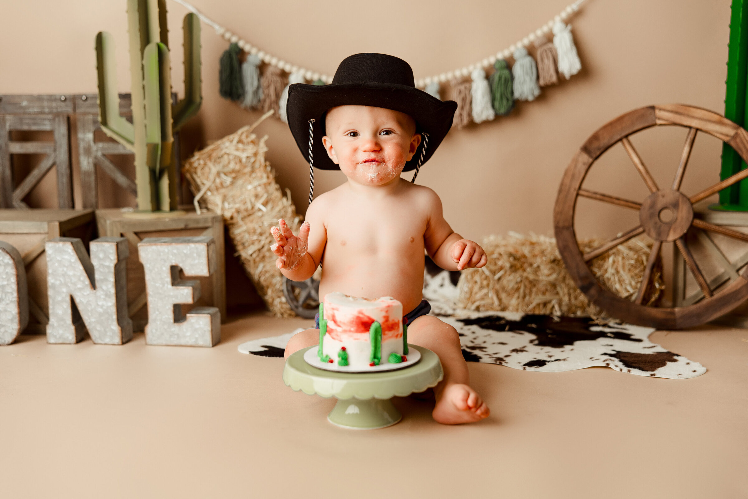 milwaukee-cake-smash-photographer-112