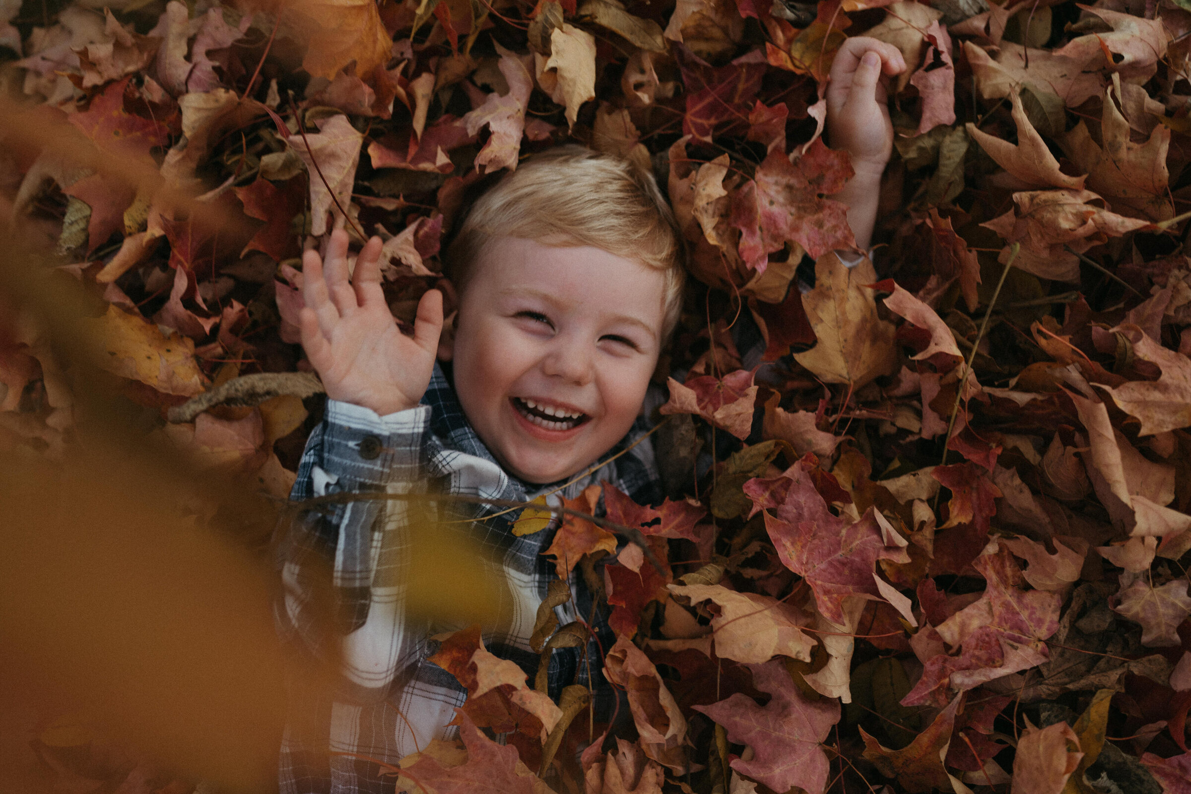A blond toddler wearing a flannel shirt giggles covered in a pile of fall leaves