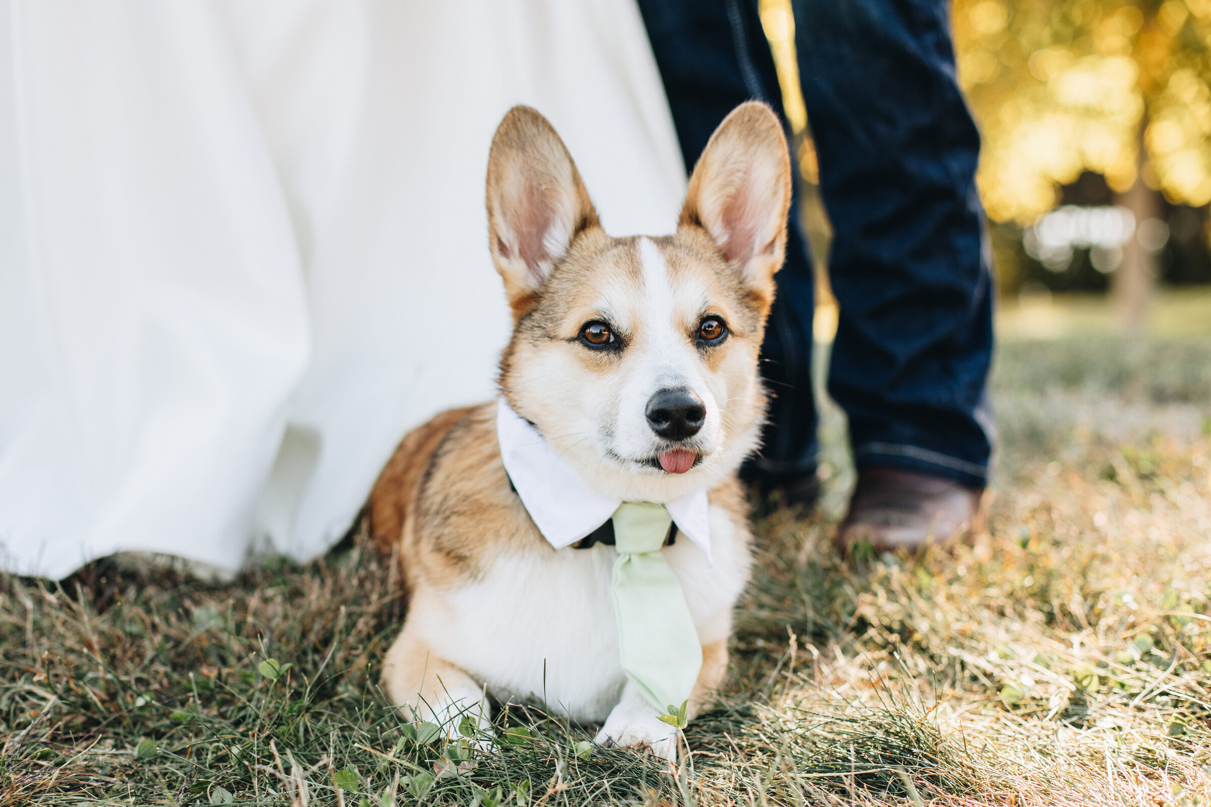 Sarah + Adam_Sneak Peek (17)