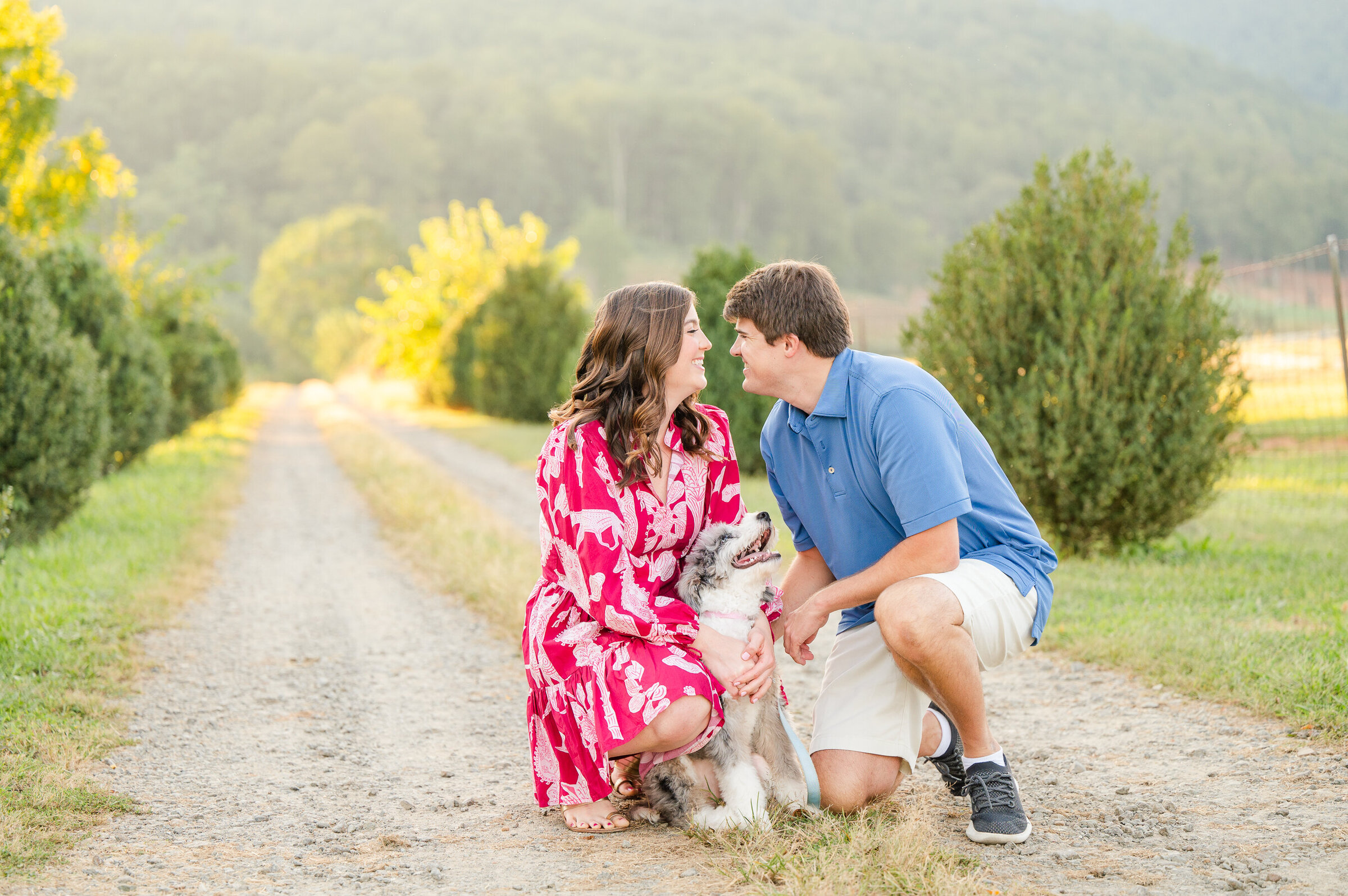 Chiles Orchard Charlottesville Engagement Sneak - Abby & Jack 001