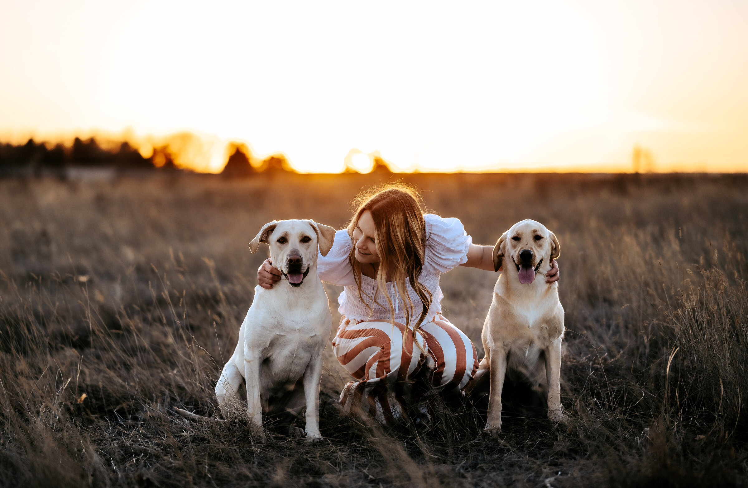 woman kneels next to her Labrador Retriever dogs at sunset