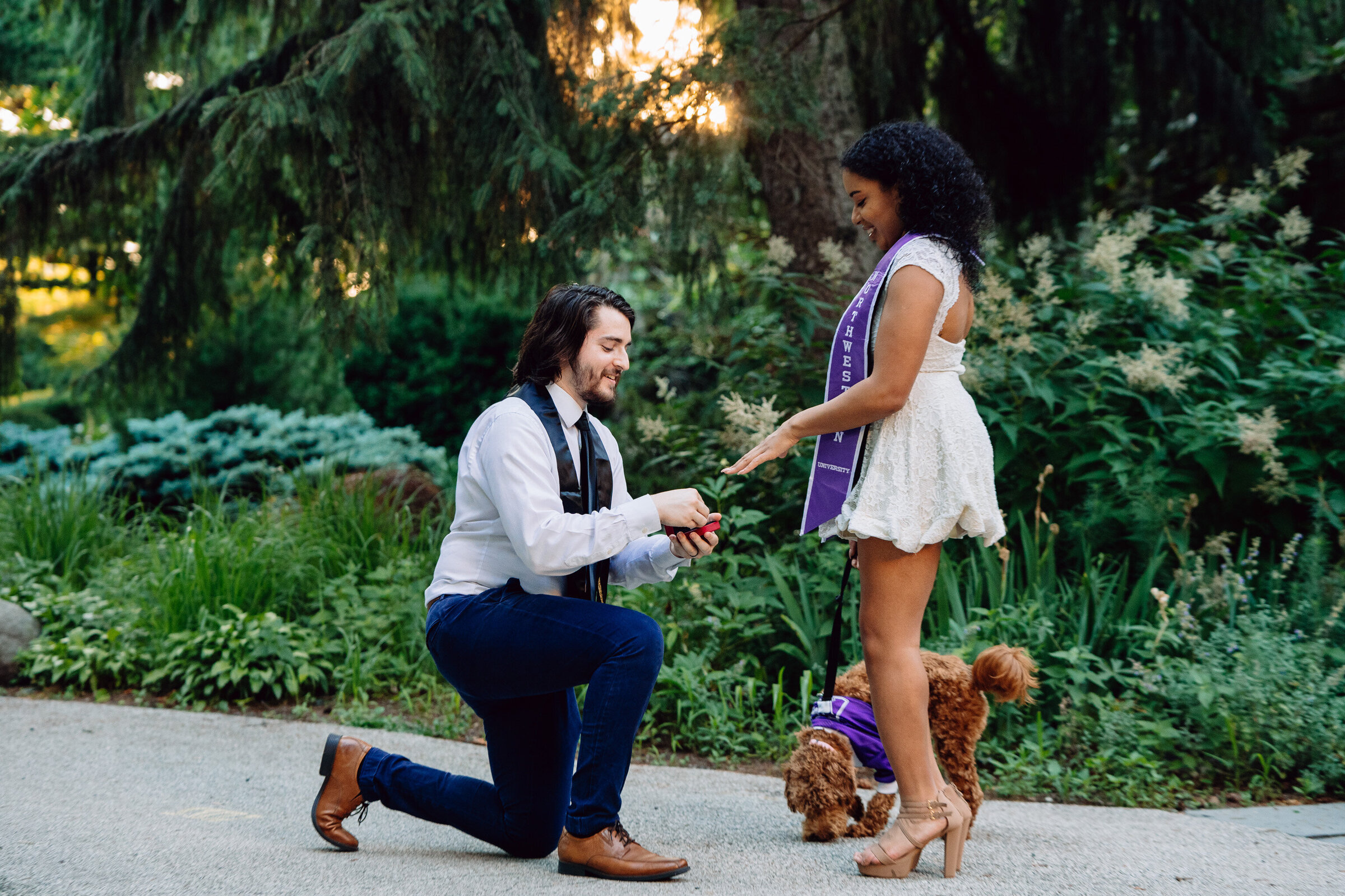 Northwestern University student proposes to girlfriend
