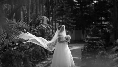 bride-walking-down-aisle bride-walking-down-aisle