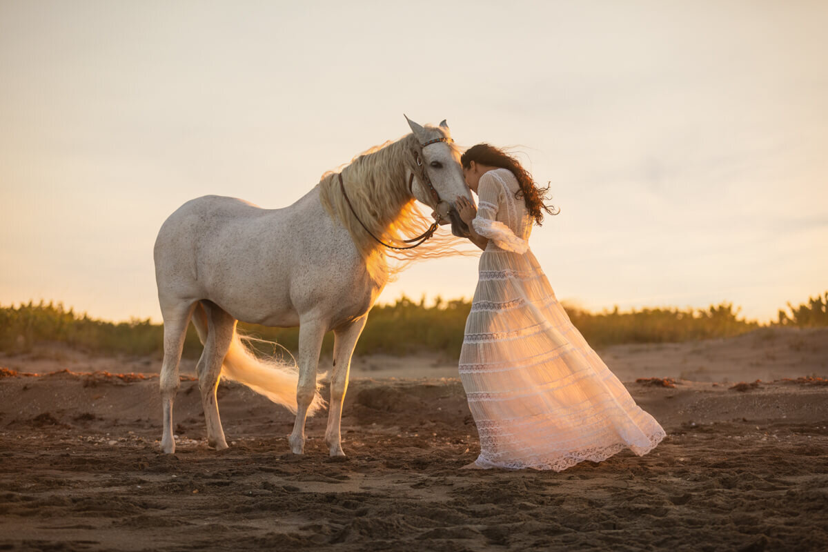 El-Paso-Texas-Horse-Photographer-023