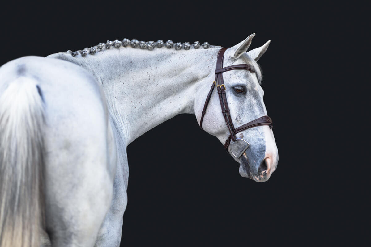 El-Paso-Texas-Fine-Art-Horse-Photographer-019