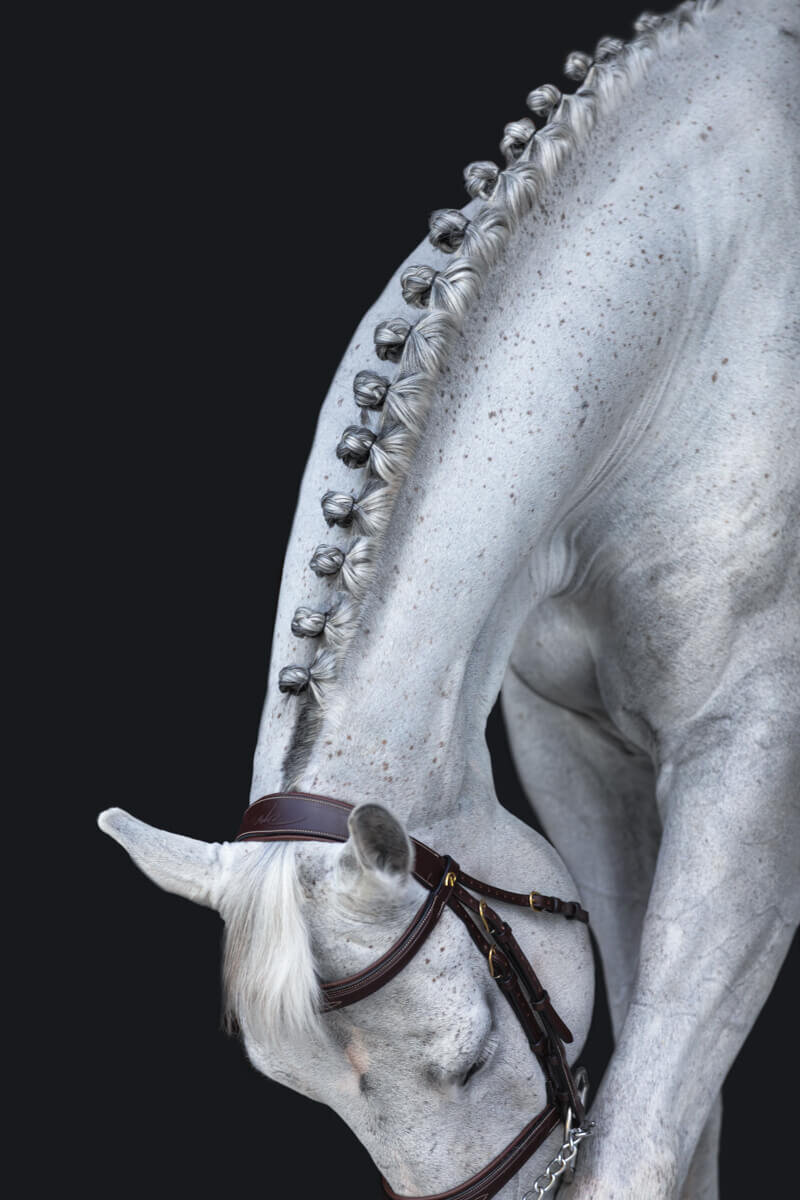 El-Paso-Texas-Fine-Art-Horse-Photographer-014