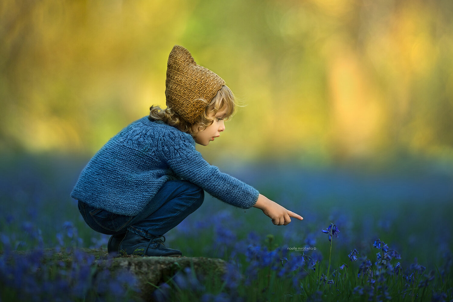 Child in a bluebell forest.