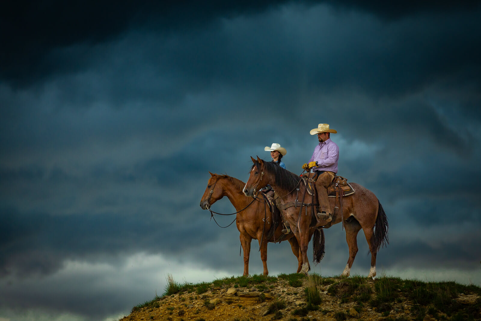 El-Paso-Texas-Horse-Photographer-010