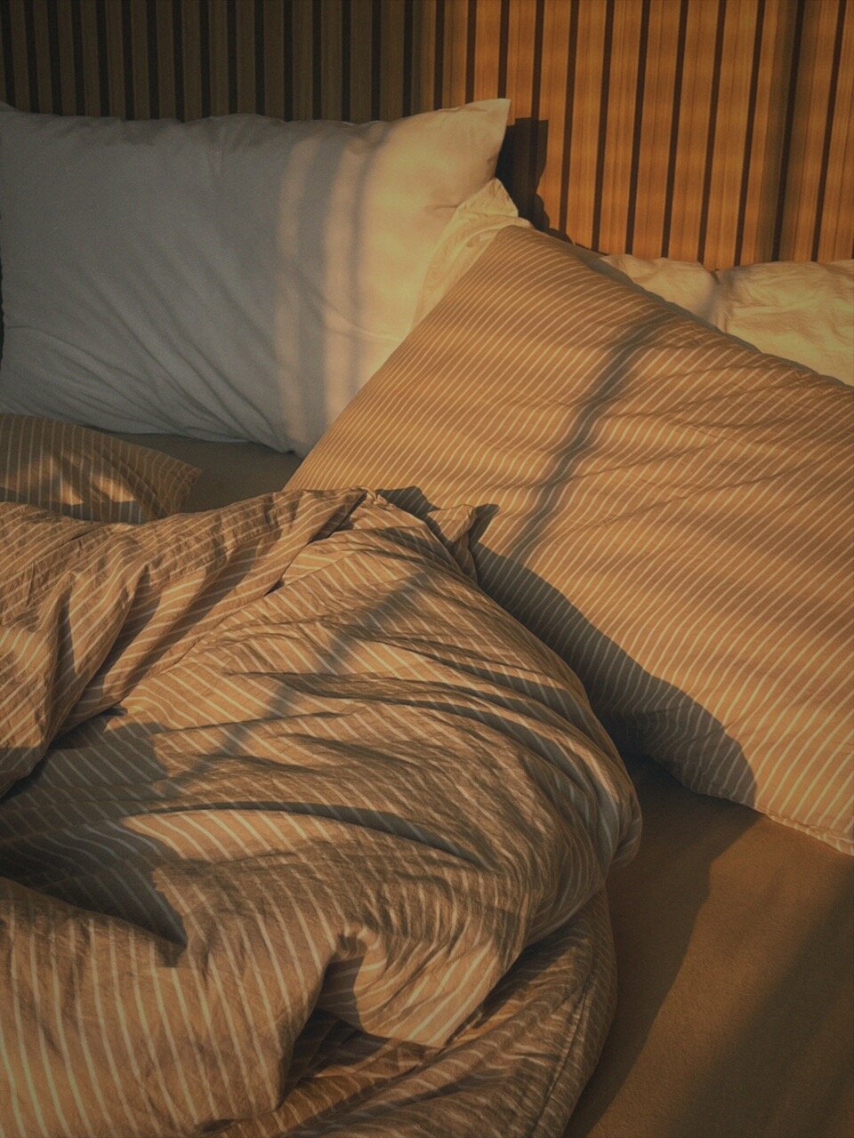 emilie-faraut-dupe (24) Large