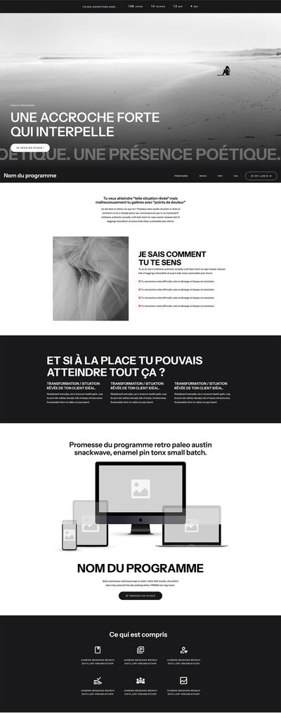 Capture d'écran du template de site Internet Showit Ash