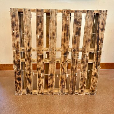 pallet photo display at barnwood events in madison, winconsin.