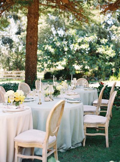 Bride and groom walk up memorial steps at their DC wedding