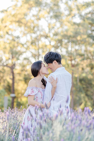 couple hugging in sirromet lavender field having fun with Hikari’s brisbane engagement session