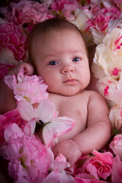 Interested baby in a bed of pink flowers