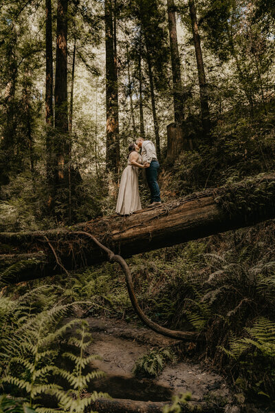 couple kiss on trunk in forest