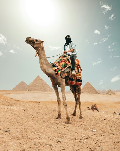 destination wedding travel agent