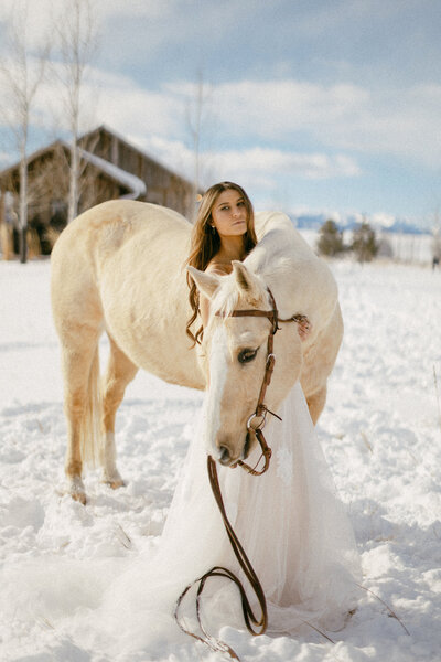 Bridal portrait with horse montana