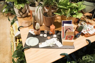 House Plant Collective gift cards