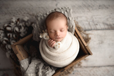Newborn Photography Baby Lovie For The Love Of Photography
