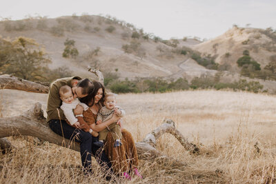 family photographer family photography california photographer bay area photographer
