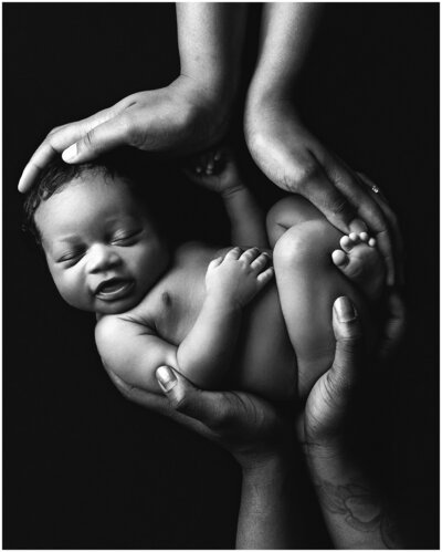 B&W fine art Brooklyn newborn photography of baby curled up in parents hands during newborn session