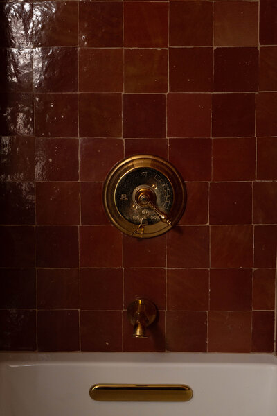 Showit Website Template and Custom Brand and Showit Web Design by With Grace and Gold