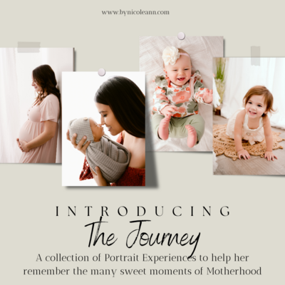 Posed Newborn Photos | Wrapped Newborn Photos | Fine art Newborn | Color | Neutrals |  Teal | Perfection | Newborn Portrait Studio