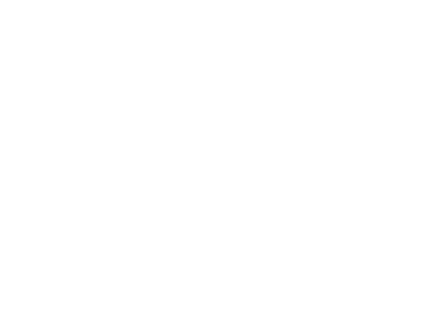 salon scale logo