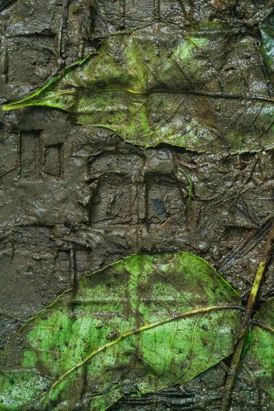 detail_mountainbike_tire_texture2