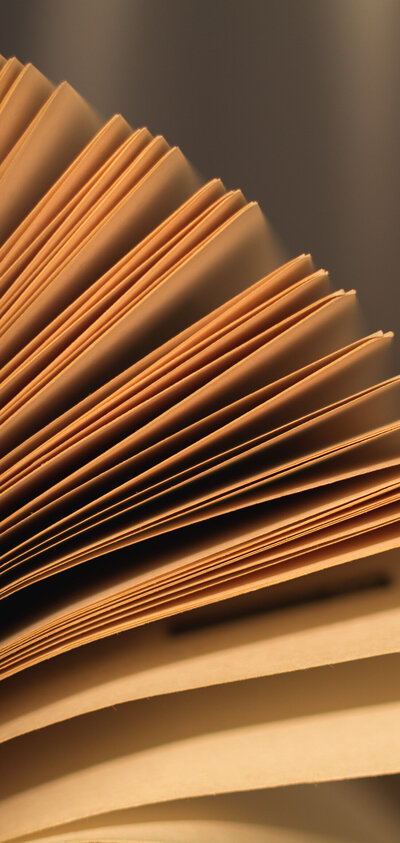 Fanned book pages seen from the side, bathed in warm light. Photo via Librestock.