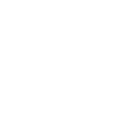 Lindsey Roman Presets logo