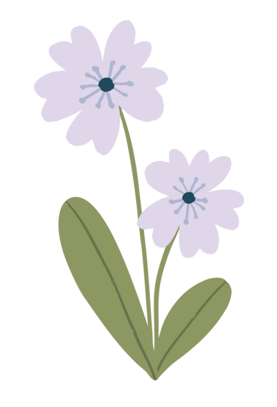 Florida Social Butterfly Purple Flower icon