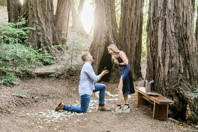 Marriage Proposal at Ventana Big Sur - Steelman Photographers