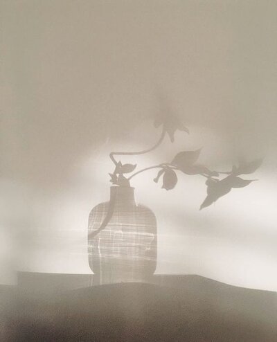 Hazy photo of a plant in a glass jar