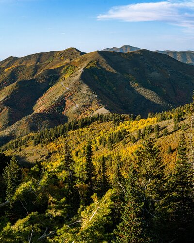 Utah mountains where you can hike with your dog